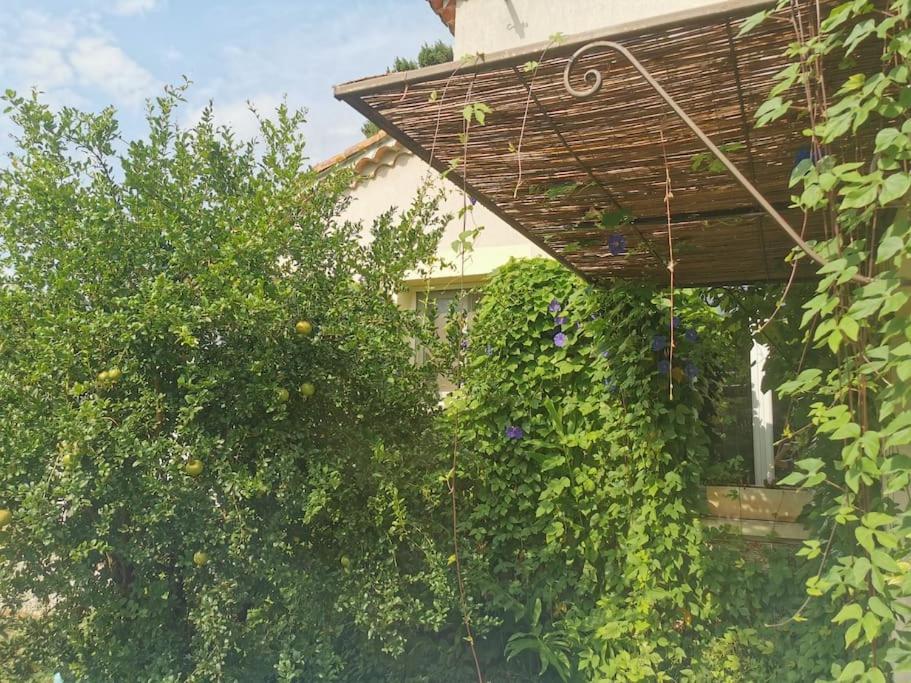 Maison Avec Piscine Dans Village Provencal. Courthézon Exteriér fotografie